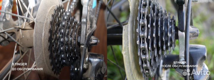 Веломастер