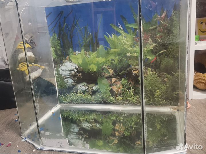 Аквариум для рыбок 65л
