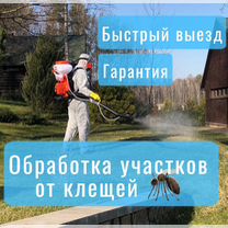 Обработка участков от клещей борщевика