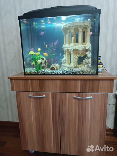 Аквариум aquael 70 л. Готовый