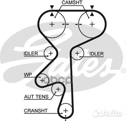 Ремень грм;Opel Frontera A, B 2.2 95, Omega B