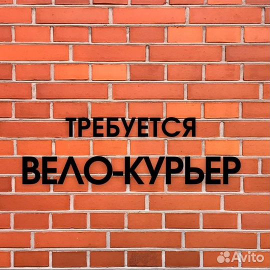 Велокурьер еженедельные выплаты (м-т)