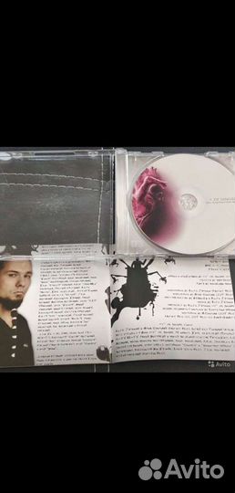 Альтернатива русская