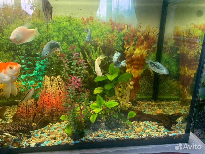 Аквариум с тумбой
