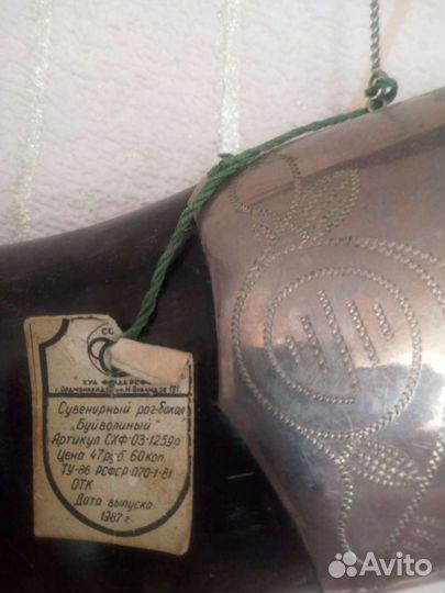 Рог буйвола