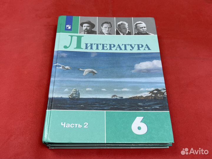 Литература 6 класс Коровина 2019-2022 год