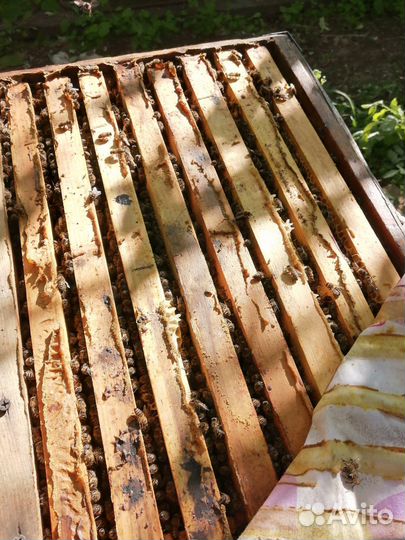 Продам рамки суш в отличном состоянии