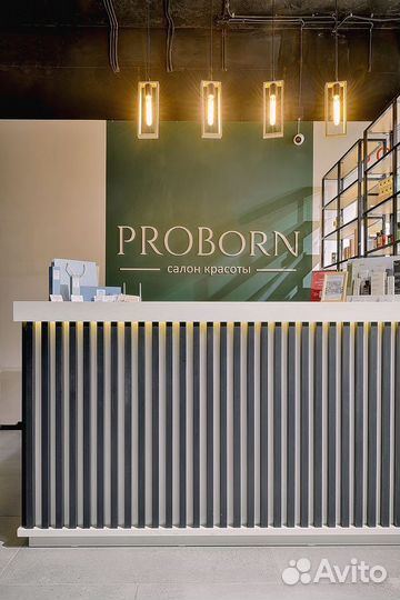 Ресепшн proborn