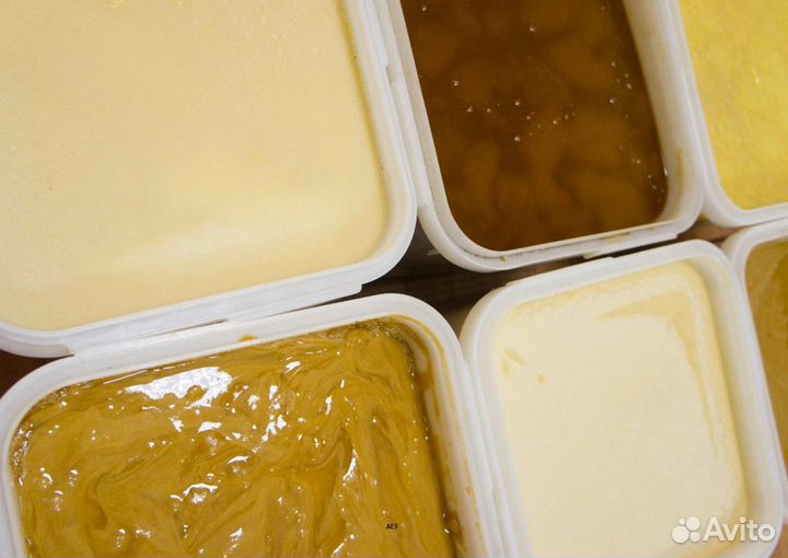2024 Мёд натуральный алтайский оптом