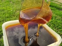 Мед алтайский разнотравье оптом свежий