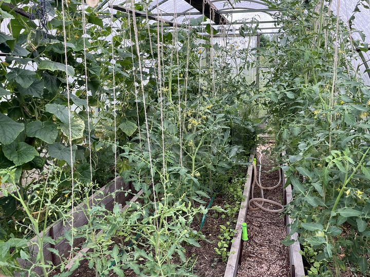 Дача 18 м² на участке 12 сот.