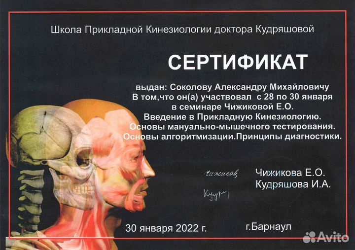 Кинезиологический массаж, прикладной кинезиолог