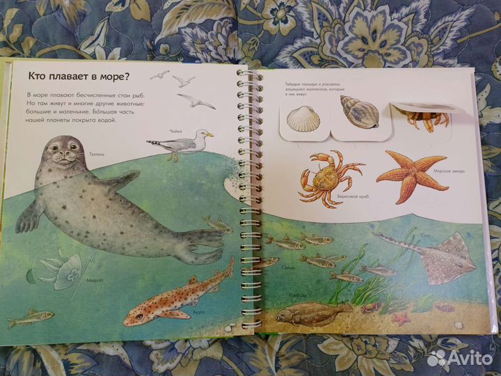 3+ Интерактивные книги, Мир животных, Время и часы