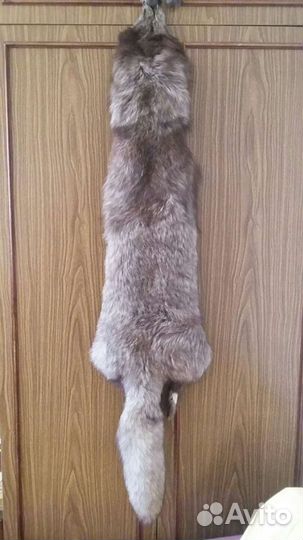 Шкурки песца
