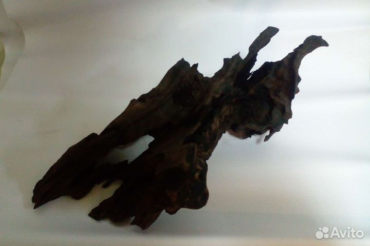 Скола (каряга)