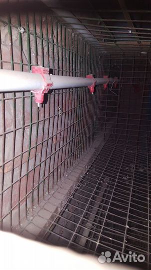 Поилки для птиц