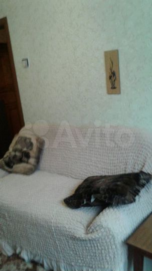 1-к. квартира, 32 м², 5/9 эт.