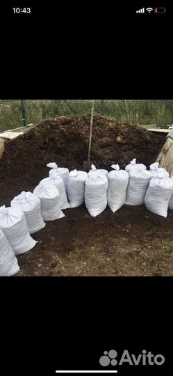 Навоз коровий