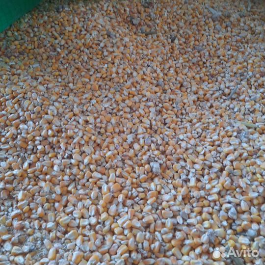 Кукуруза в мешках