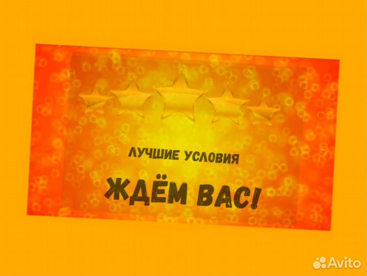 Наборщик заказов Без опыта Еженедельные выплаты