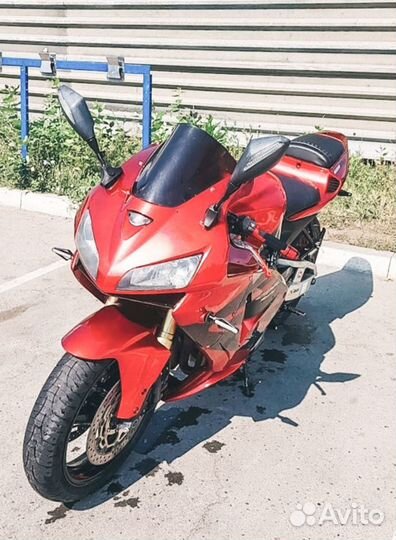 Honda CBR 600rr