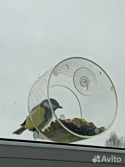 Кормушка для птиц на окно на присосках