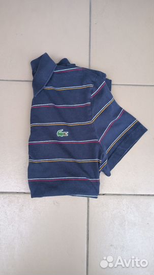 Поло Lacoste