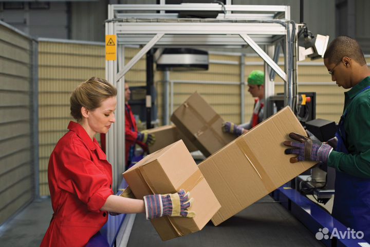 Упаковщик без опыта, оплата ежед/еженедельно