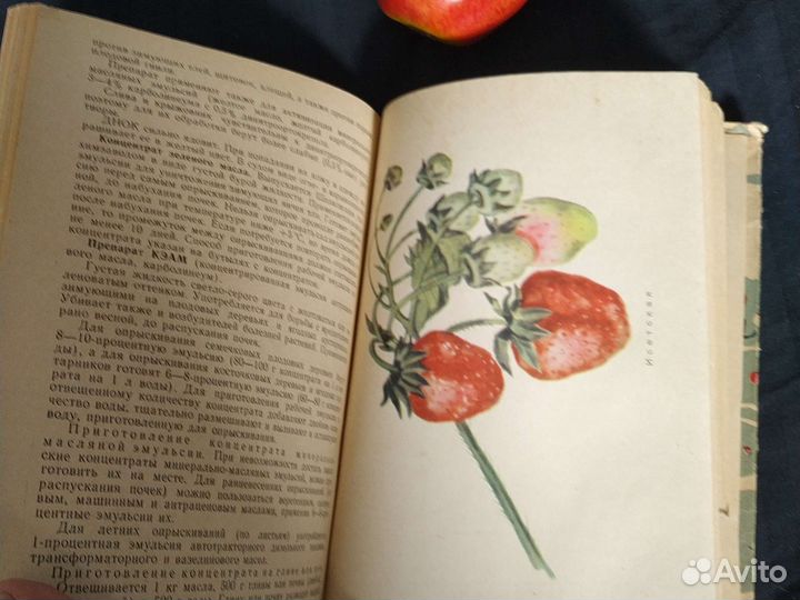 Садоводство Среднего Урала1964г