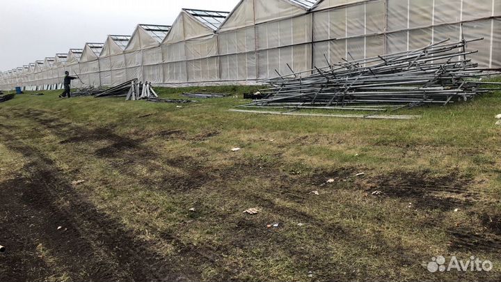 Теплицы антрацит 1 г