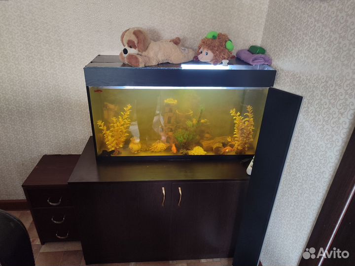 Аквариум