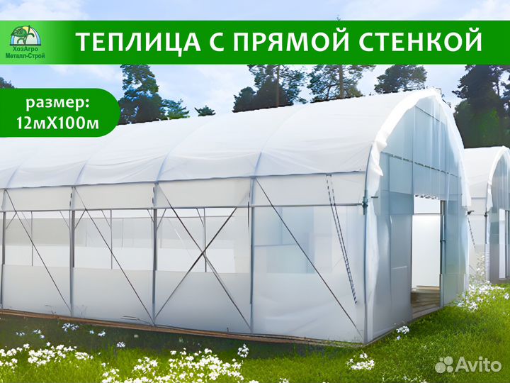 Теплица с прямой стенкой 9,6х100м