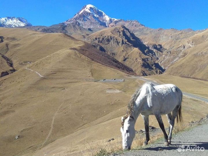 Экскурсия — Тбилиси — Монастырь На Казбеке — «Высо