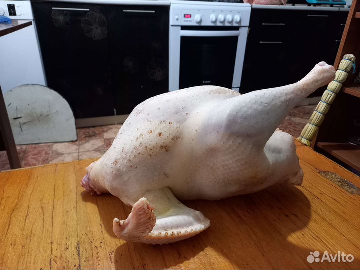 Мясо домашней индейки