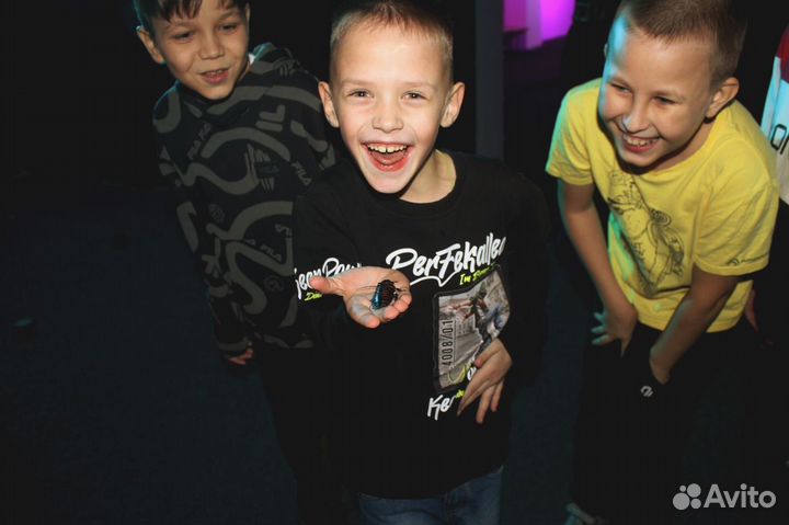 Квест Форт Боярд