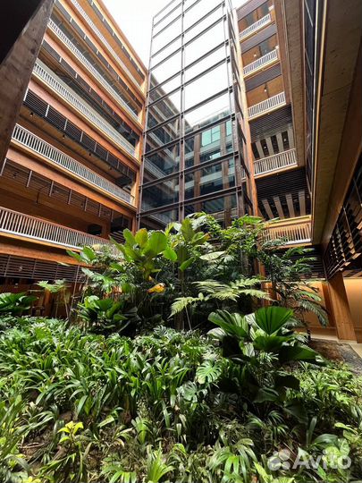 Зарубежная программа Itec Сингапур