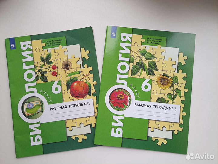 Рабочие тетради по биологии 6 класс