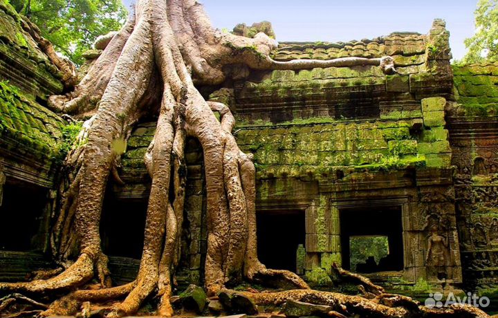 Помощь по переезду в Камбоджу: ВНЖ, бизнес, туризм