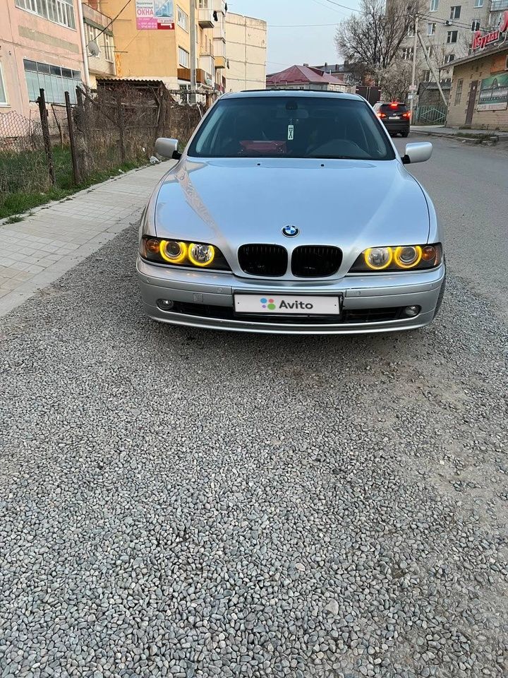 BMW 5 серия: фото владельца