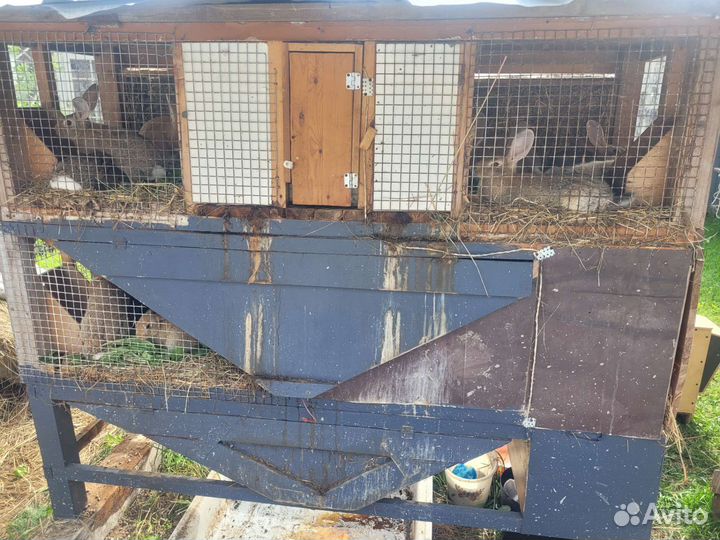 Кроличья ферма, клетки для кроликов