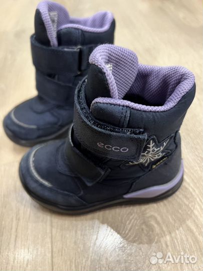 Ботинки сапоги ecco