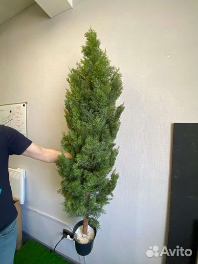 Туя искусственная дерево растения