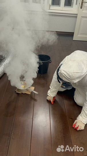 Уничтожение плесени и грибка
