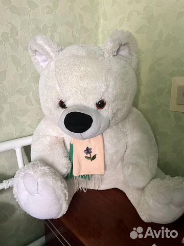 Медведь красавчик
