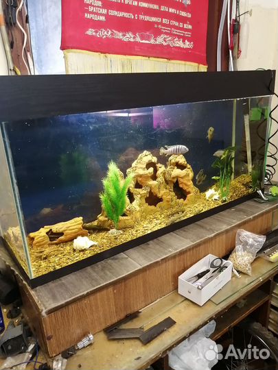 Аквариум с рыбками совсеми прибамбасами