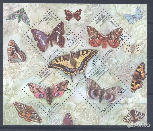 Блоки Украины. Фауна, история, туризм, этнос