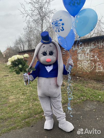 Экспресс поздравление аниматор