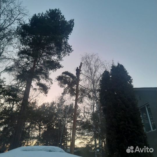 Благоустройство сада