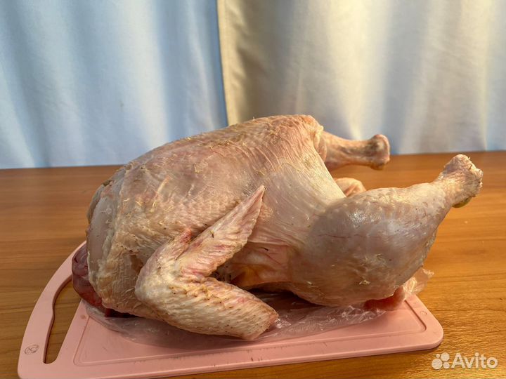 Тушки бройлеров домашние 60 дней с выводу