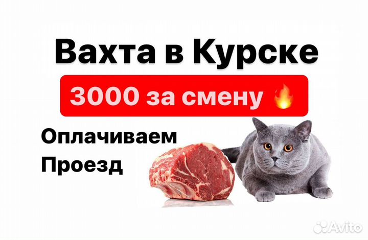 Сортрудники разделки вахта в Курске проезд оплатим